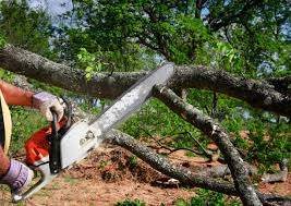 Best Firewood Processing and Delivery  in Jonesville, NC